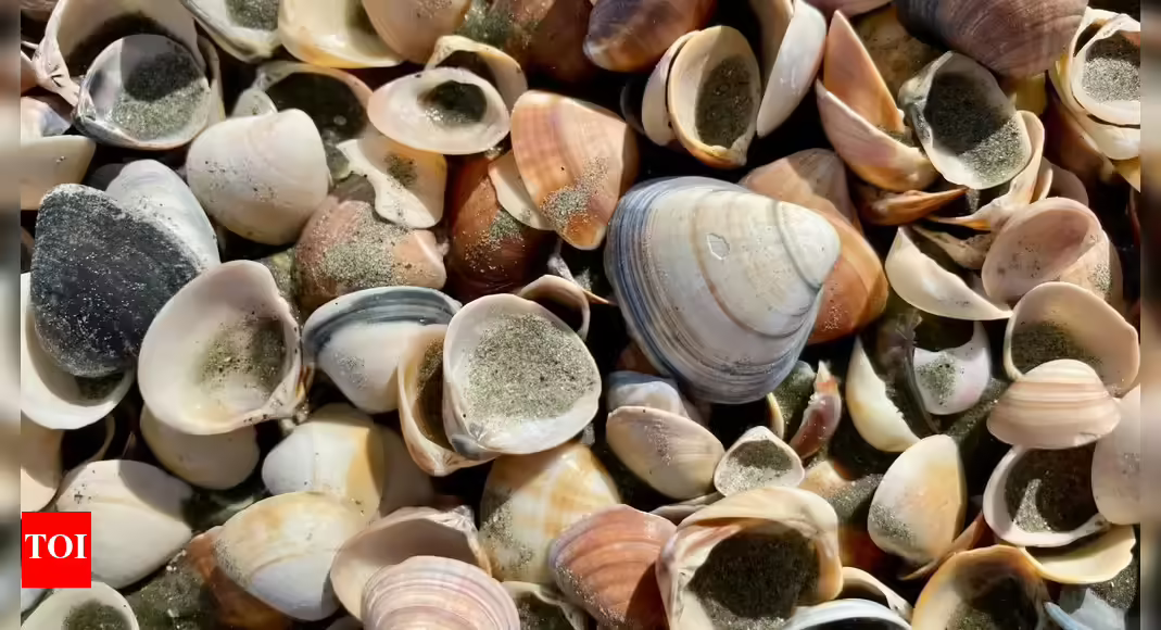 A 480-million-year-old fossil changes what we know about the origin of parasites |