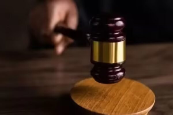 Petitioners pick SIR over EC, SC to hear on November 11 | India News