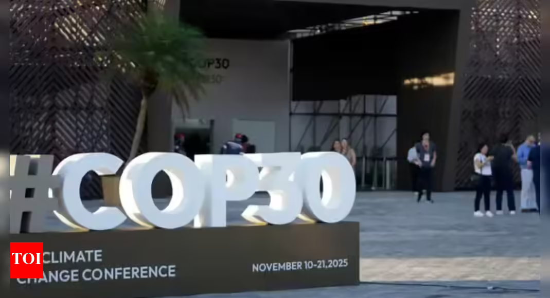 COP30 kicks off in Brazil, focus on mobilising $1.3 trillion finance | India News