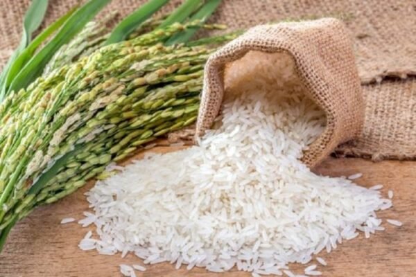 NZ, Kenya Courts Reject India’s Plea for Exclusive Basmati Rights Under TRIPS