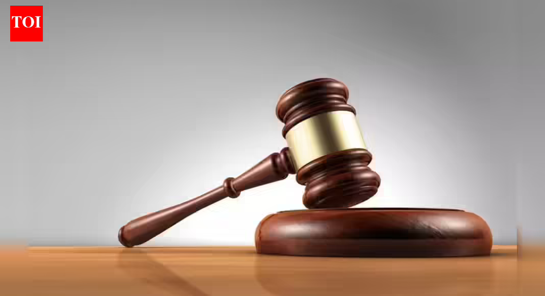 Live-in ok for adults even if not of marriage age: Rajasthan HC | India News