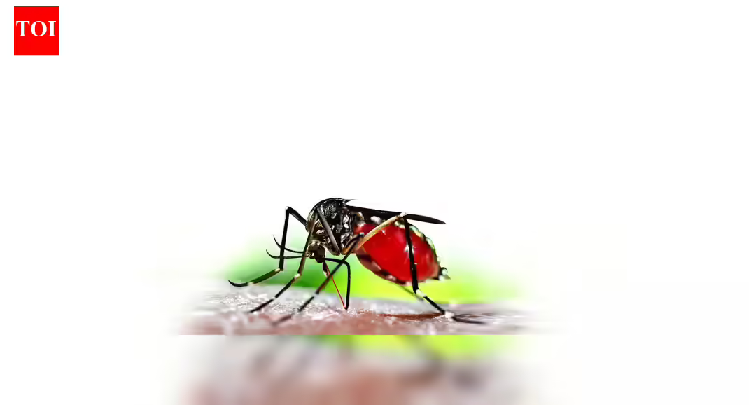 India nears target but still bears 73% of South Asia’s malaria burden: WHO | India News