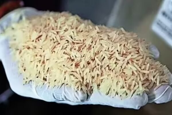 Donald Trump's rice tariffs threat unlikely to have severe impact on exports | India News