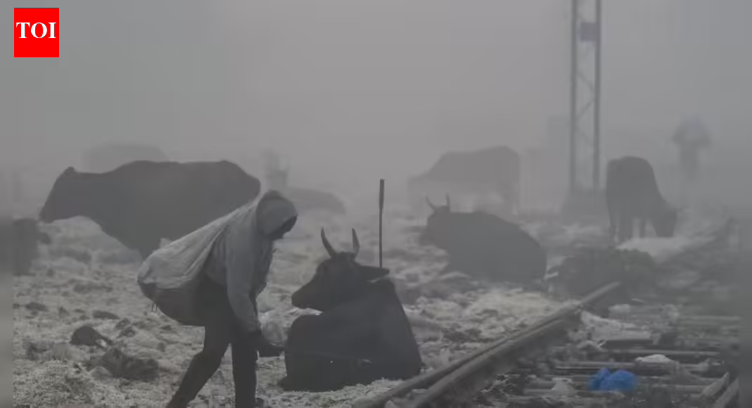 Delhi air pollution: Singapore, UK and Canada issue advisory as AQI soars; caution travelers | India News