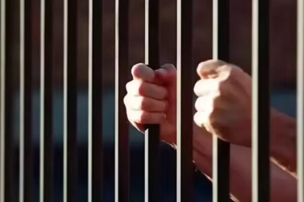 12 terror suspects held in J&K under UAPA | Srinagar News