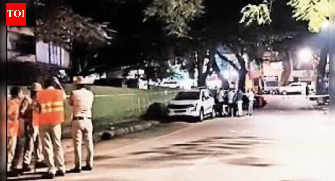 Suspected affair, quit job: Techie shoots wife dead on Bengaluru road after divorce notice; surrenders | Bengaluru News