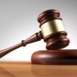 'Criminals are operating with impunity': Punjab and Haryana high court censures Punjab police over law and order; summons DGP | India News