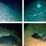 A hidden Arctic world: Methane mounds and life found 3.6 km below the Greenland Sea |