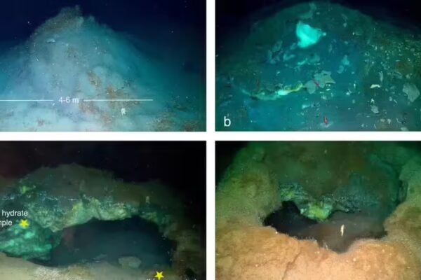 A hidden Arctic world: Methane mounds and life found 3.6 km below the Greenland Sea |