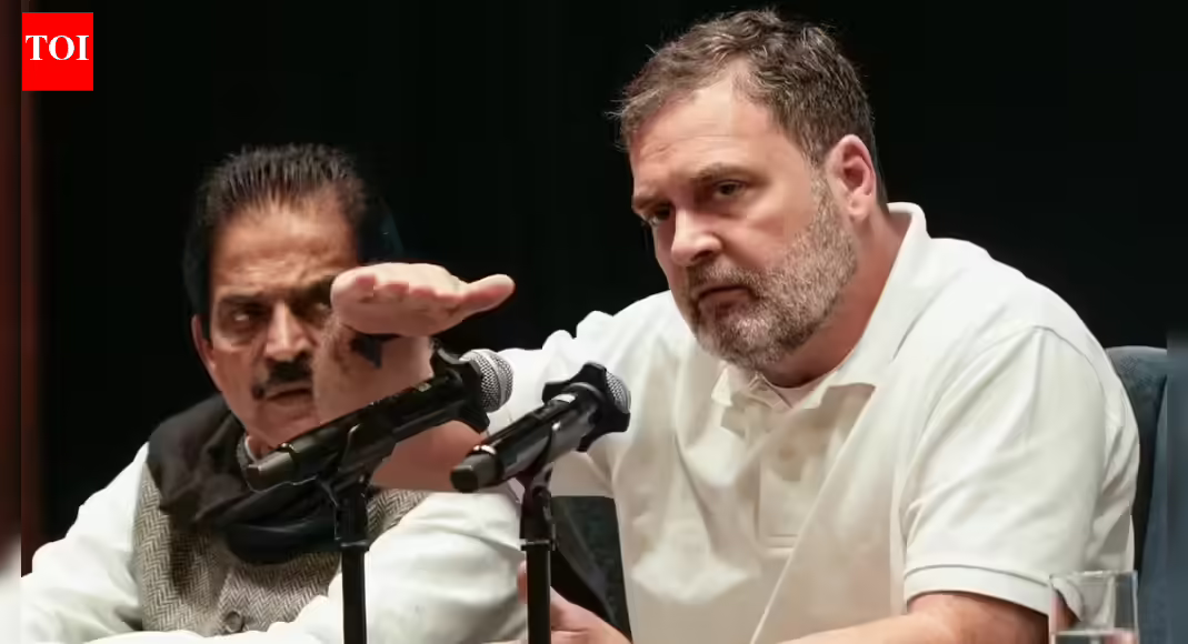 Rahul permanent spokesperson of anti-India global forces: BJP | India News