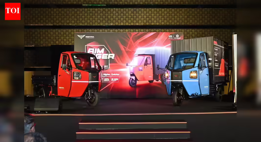 No more subsidy for electric three-wheelers: Govt meets target; ends relief