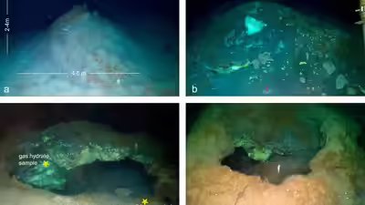 A hidden Arctic world: Methane mounds and life found 3.6 km below the Greenland Sea