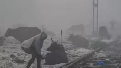 Delhi air pollution: Singapore, UK and Canada issue advisory as AQI soars; caution travelers