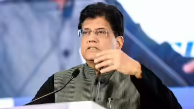 'Strong wicket': Piyush Goyal says November exports show healthy rise; merchandise trade picks up after October slump
