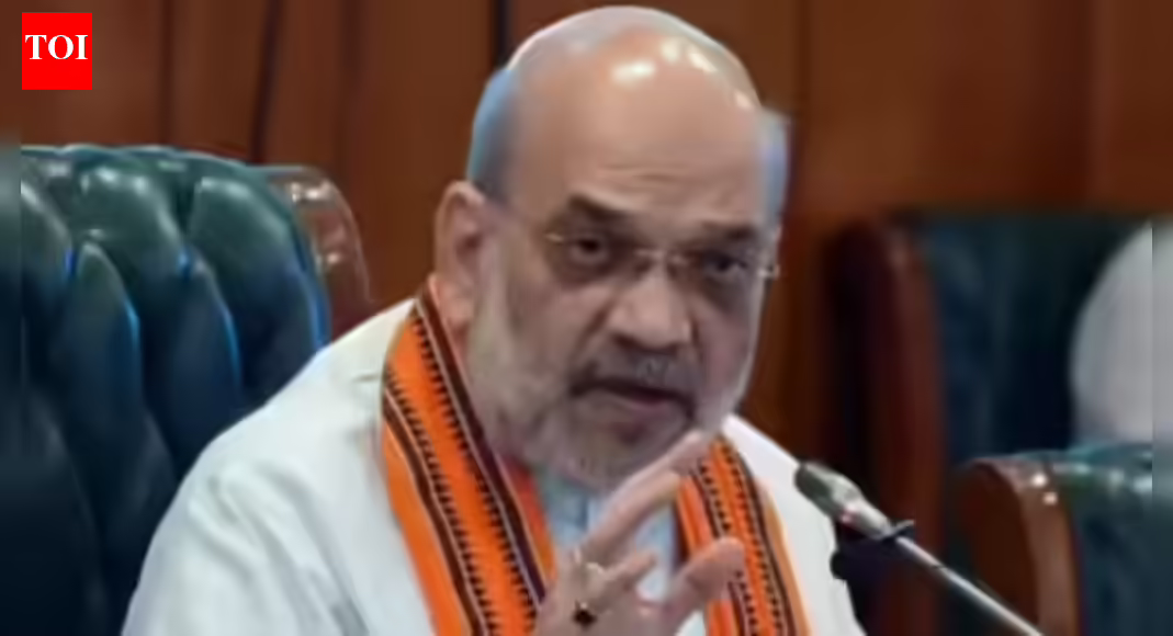 Drugs problem is narco-terrorism, not a mere issue of crime: Shah | India News
