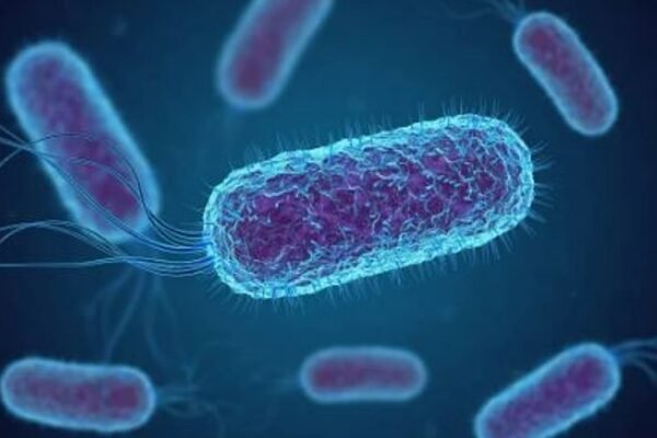 E. coli Bacteria Found in Drinking Water Samples in Greater Noida, Health Risk Alert Issued