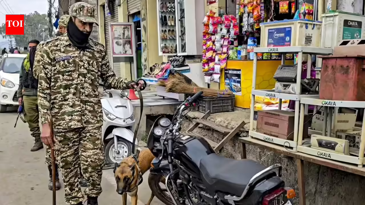 J&K: Op Trashi-I enters Day 4, hunt for ultras intensified | India News