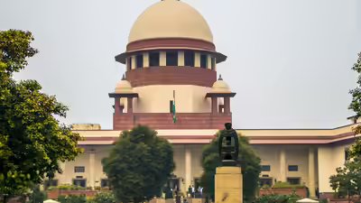 File photo 'Not only dog bites': SC flags road accidents due to strays; highlights civic lapses, warns states