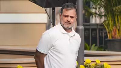 ‘Reality check’: BJP cites Karnataka govt survey to slam Rahul Gandhi; ridicules ‘vote chori’ charge
