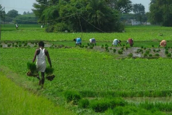 PACS: 8,710 Agri Cooperative Societies Set Up: Rediff Moneynews