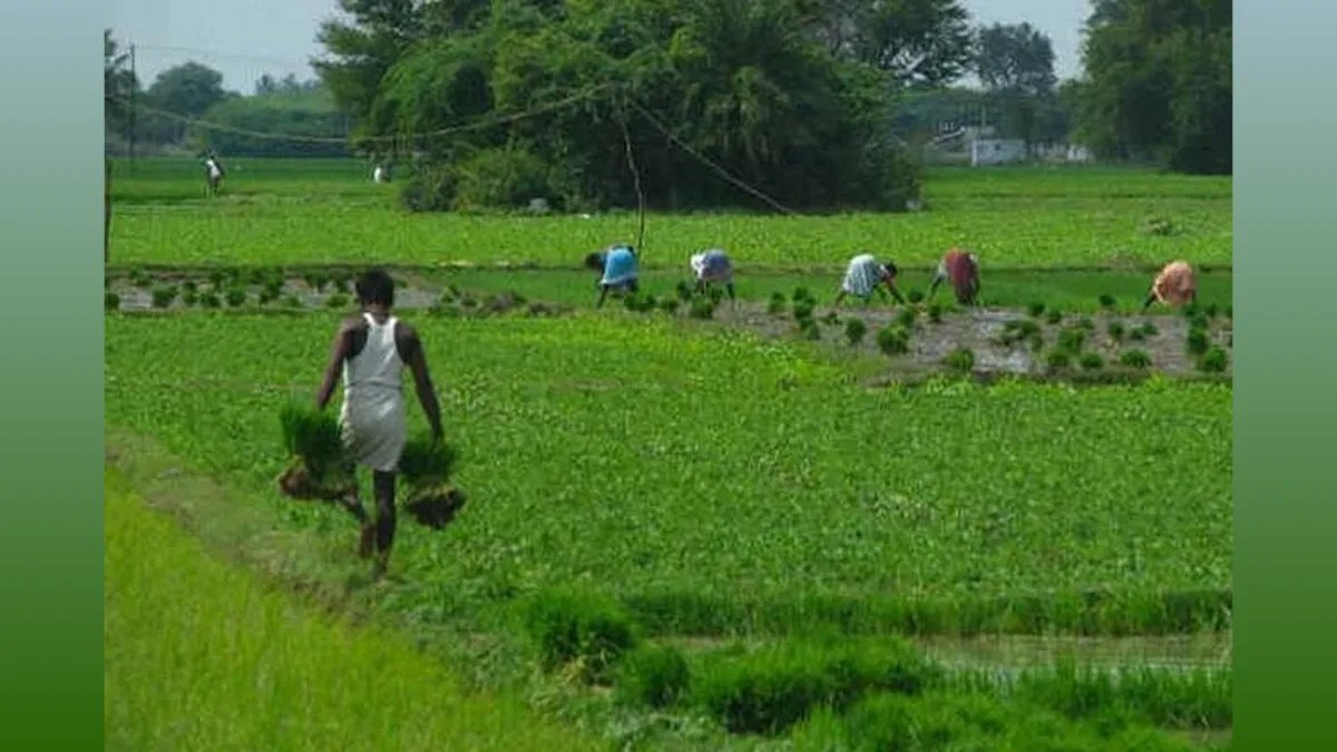 PACS: 8,710 Agri Cooperative Societies Set Up: Rediff Moneynews