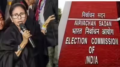 Prevent systematic pattern of violence, threats against our WB staff: EC to SC