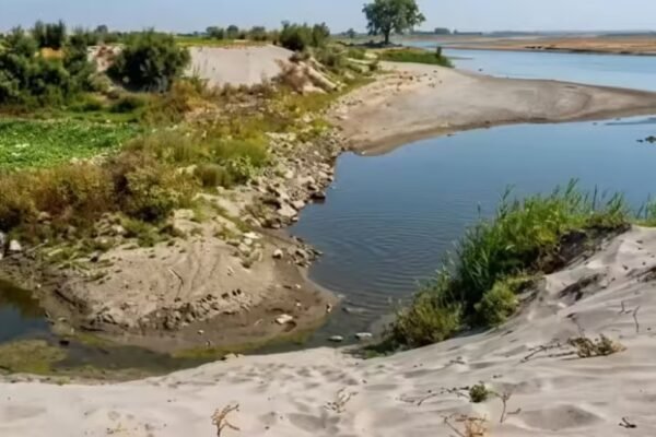 From river to muddy trail: Yamuna in Delhi is now just a shallow brown stream, Villagers walk across the dry river bed