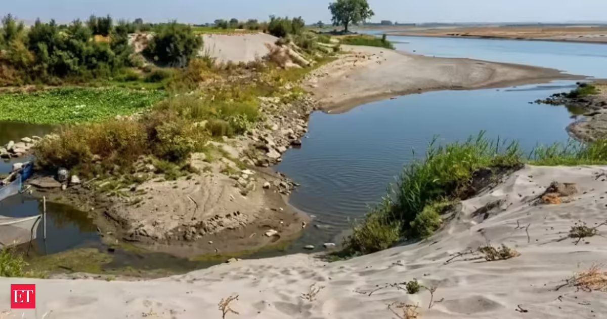 From river to muddy trail: Yamuna in Delhi is now just a shallow brown stream, Villagers walk across the dry river bed