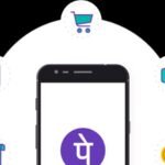 PhonePe Reaches 700 Million Registered Users: Rediff Moneynews
