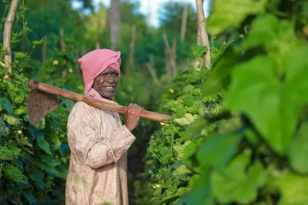 How 5 years of cooperative reforms are transforming rural India